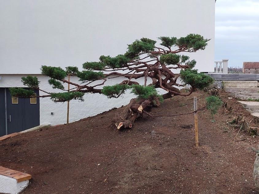Aménagement extérieur monteret environnement (24)
