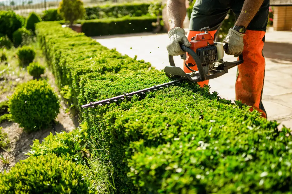 Crédit d'impôt de 50 % pour l'entretien de jardin dans l'Allier : qui peut en bénéficier ?