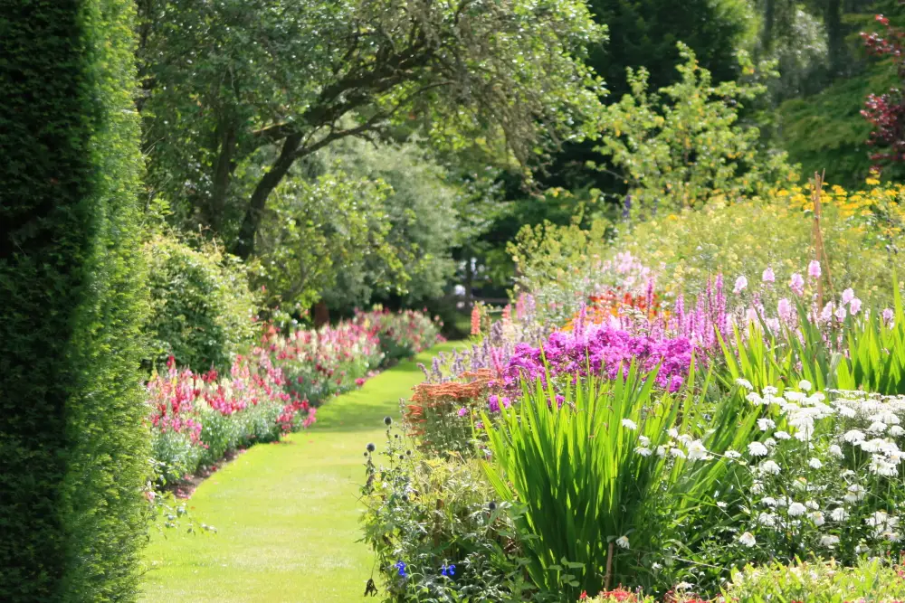 Tendances Jardin 2025 dans l'Allier : le naturel et le local au cœur des projets